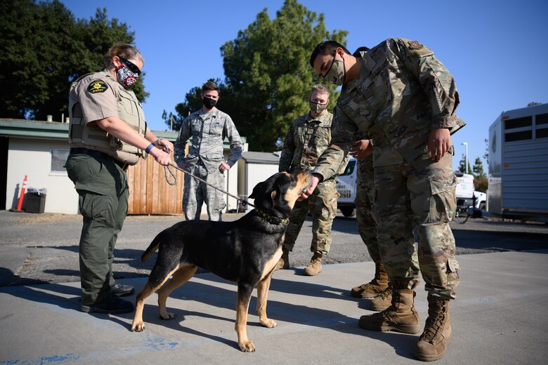 Airman petting dog