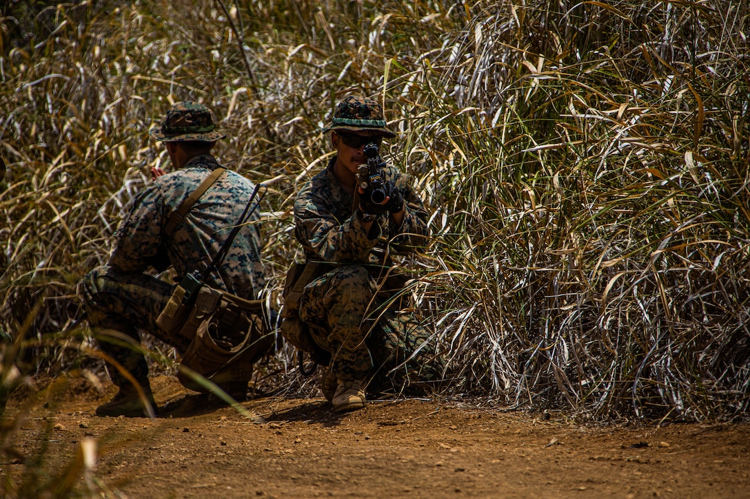 U.S. Marines scan terrain for simulated improvised explosive devices during Exercise Bougainville I at Marine Corps Training Area Bellows, Hawaii, Aug. 26.