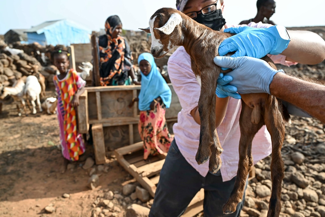 A soldier in civilian clothes reaches out to a baby goat another person is holding outside in a village.