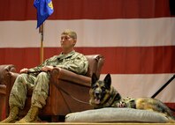 Tedy, a German shepherd, sits next to his handler during the Military Working Dog's retirement ceremony.