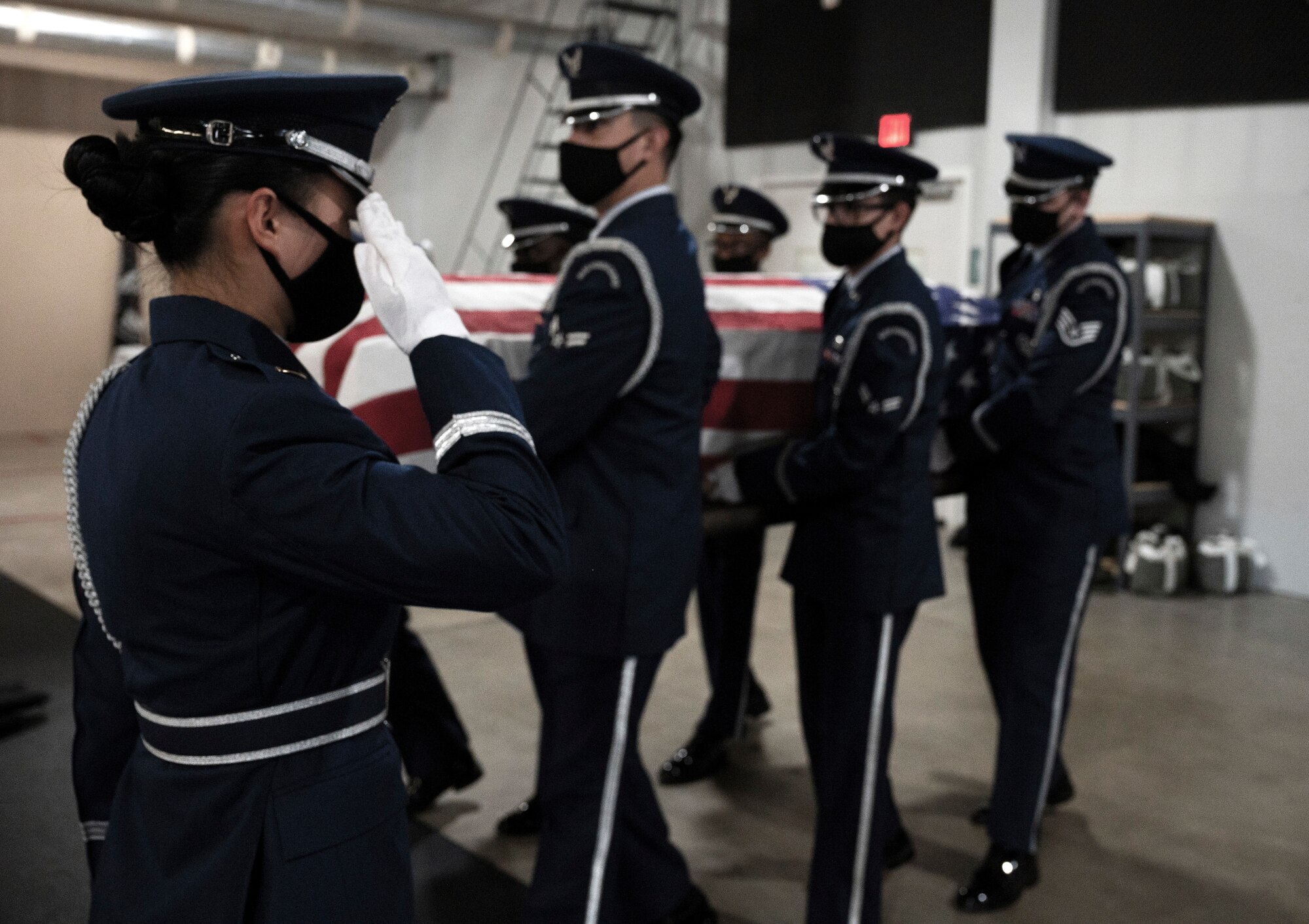 An Airman salutes the carriage of a casket