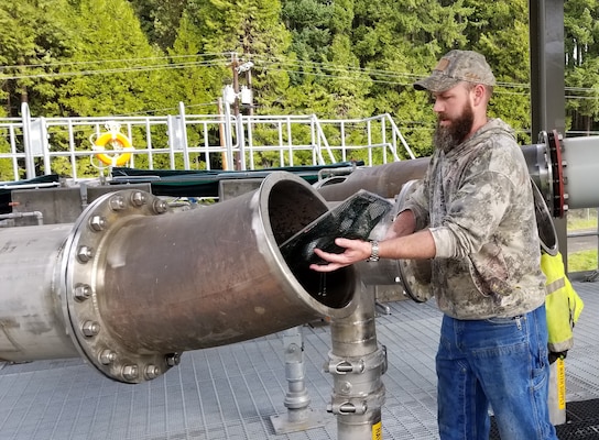 Biologist Brian Wooley releases fish into pipes that connect to transfer pools where they are then loaded into trucks and safely released back into the wild.