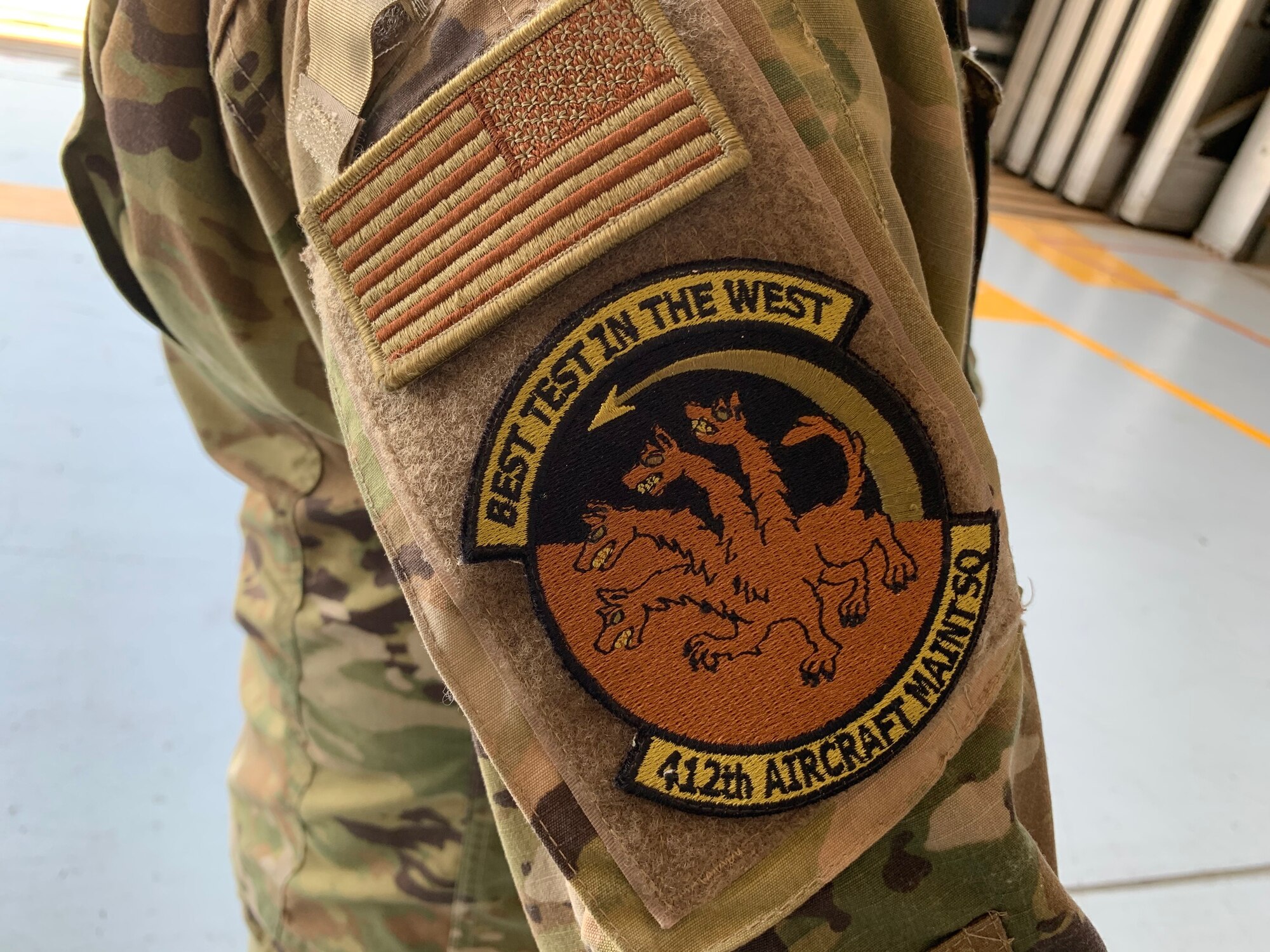 Squadron Patch Photo