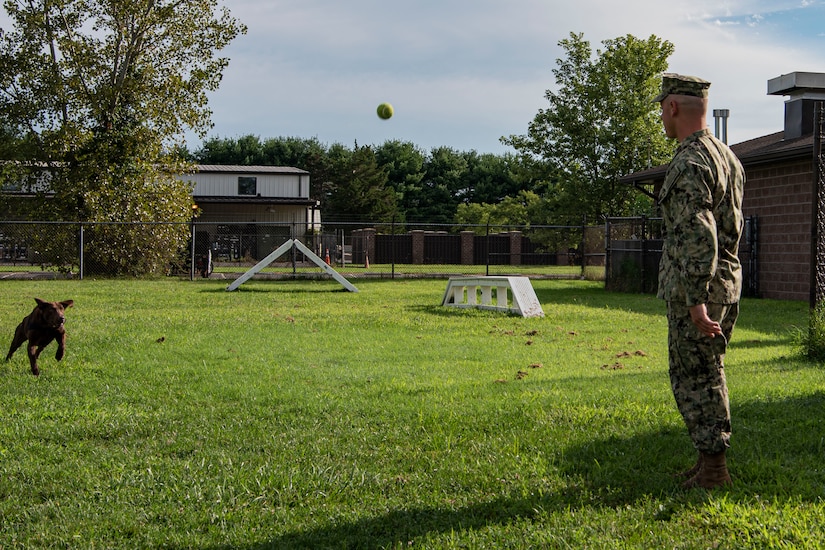 Photo of a sailor throwing a ball to a dog.