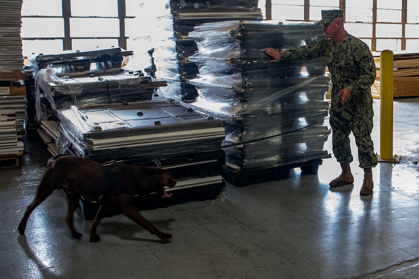 Photo of a sailor gesturing to an area for a dog to search.