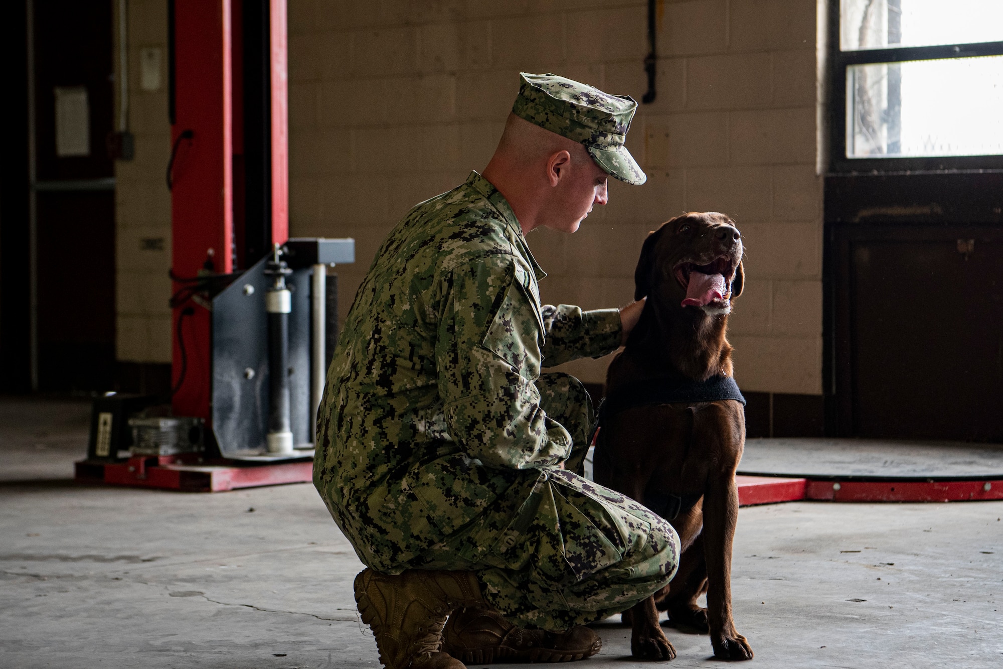 Photo of a sailor petting a dog.