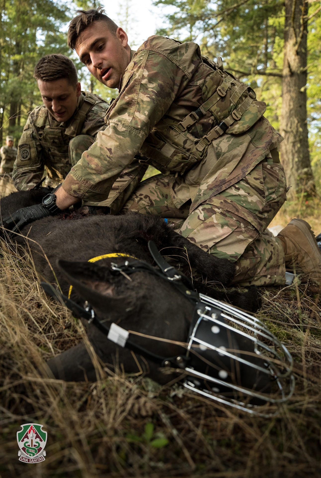 Sgt. Nicholas Taussig, left, and Sgt. Michael Johnson treat a simulated military working dog casualty during the CSM Jack L. Clark Jr. Army Best Medic Competition at Joint Base Lewis-McChord, Washington, Sept. 24, 2019.

Twenty-eight two-Soldier teams from all around the world traveled to Washington state to compete in the finals to be named the Army’s Best Medic. The competition is a 72-hour arduous test of the teams’ physical and mental skills. Competitors must be agile, adaptive leaders who demonstrate mature judgement while testing collective team skills in areas of physical fitness, tactical marksmanship, leadership, warrior skills, land navigation and overall knowledge of medical, technical and tactical proficiencies through a series of hands-on tasks in a simulated operational environment.

(U.S. Army photo illustration by John Wayne Liston/Released)