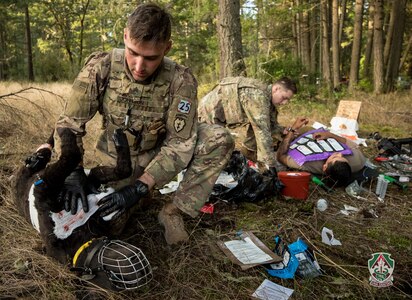Sgt. Nicholas Taussig, left, and Sgt. Michael Johnson treat a simulated military working dog casualty during the CSM Jack L. Clark Jr. Army Best Medic Competition at Joint Base Lewis-McChord, Washington, Sept. 24, 2019.

Twenty-eight two-Soldier teams from all around the world traveled to Washington state to compete in the finals to be named the Army’s Best Medic. The competition is a 72-hour arduous test of the teams’ physical and mental skills. Competitors must be agile, adaptive leaders who demonstrate mature judgement while testing collective team skills in areas of physical fitness, tactical marksmanship, leadership, warrior skills, land navigation and overall knowledge of medical, technical and tactical proficiencies through a series of hands-on tasks in a simulated operational environment.



(U.S. Army photo illustration by John Wayne Liston/Released)
