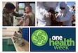 Observed during Nov. 2-9, One Health Week strives to raise awareness around the world to highlight the need for comprehensive public health using the One Health concept. The One Health concept explains the connection between human, animal, and environmental health. (U.S. Army graphic by Amber Kurka)