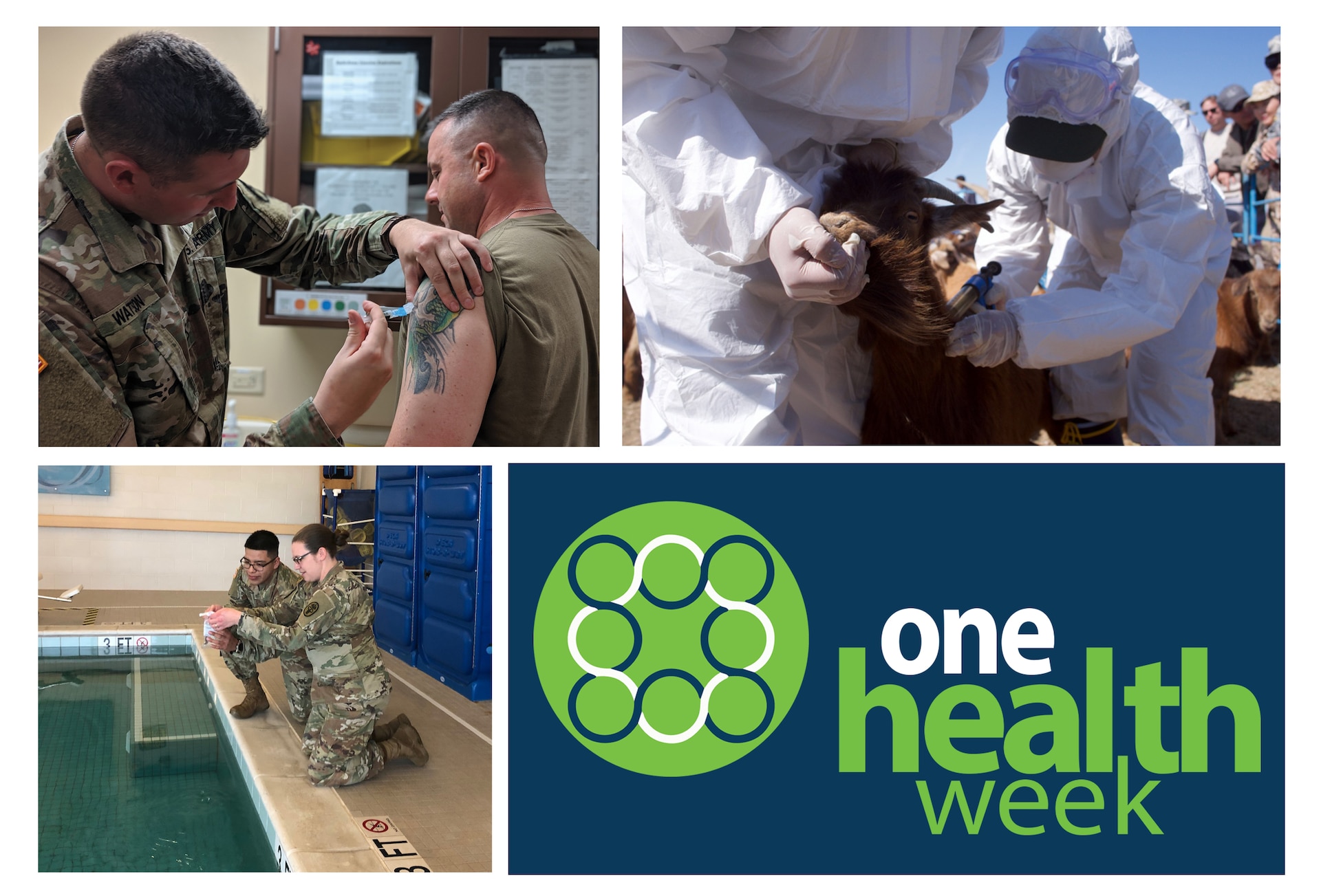 Observed during Nov. 2-9, One Health Week strives to raise awareness around the world to highlight the need for comprehensive public health using the One Health concept. The One Health concept explains the connection between human, animal, and environmental health. (U.S. Army graphic by Amber Kurka)