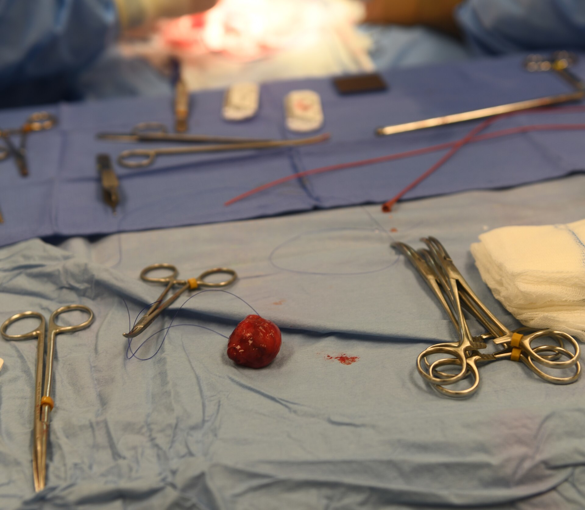 A benign mass sits on the operating table after being removed from the bladder of military working dog Quinto April 18, 2020, at Kadena Air Base, Japan. Veterinarians from both Japan and South Korea, along with military working dog handlers, staff from the Seoul National University Veterinary College and many other Airmen and Soldiers, worked together for nearly two months to get MWD Quinto to Okinawa for surgery, recovery and return home. (U.S. Air Force photo by Staff Sgt. Benjamin Sutton)