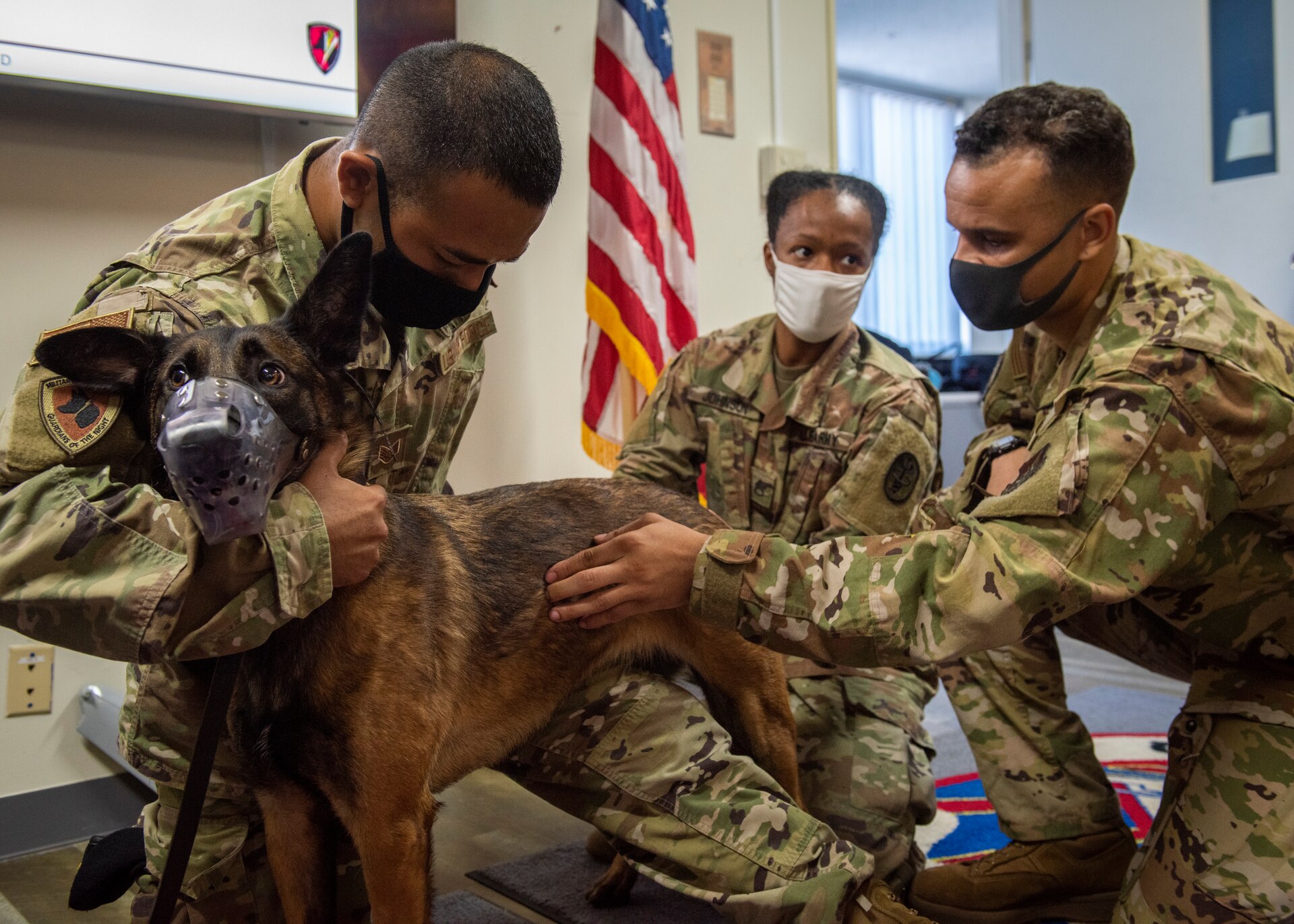 An Airman assigned to the 18th Aeromedical Evacuation Squadron participates in a C-12J Huron, K-9 Air Evacuation training scenario, August 20, 2020, at Yokota Air Base, Japan. Airmen from the 374th Security Forces Squadron and 18th AES trained on K-9 evacuation procedures and best practices. (U.S. Air Force photo by Staff Sgt. Juan Torres)