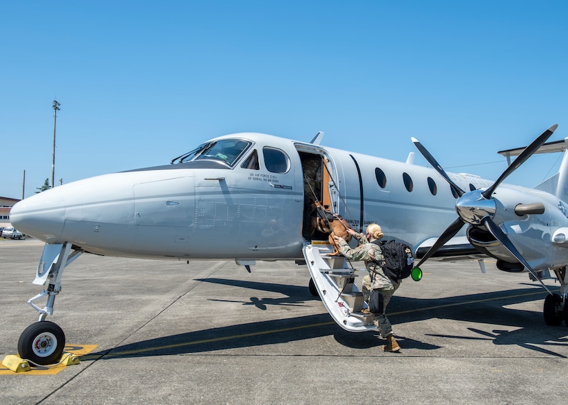 Staff Sgt. Ashleigh Green, 374th Security Forces Squadron military working dog handler, boards a C-12J Huron aircraft during a C-12J, K-9 evacuation training, August 20, 2020, at Yokota Air Base, Japan. Airmen from the 374th SFS and 18th Aeromedical Evacuation Squadron trained on K-9 evacuation procedures and best practices. (U.S. Air Force photo by Staff Sgt. Juan Torres)