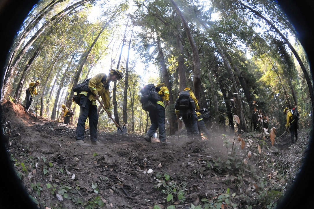 Men in firefighting gear dig a small trench in the woods.