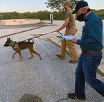 Staff Sgt. Jacob Howard, a Military Working Dog handler, and MWD Ppuritan are evaluated by a U.S. Army Medical Department Board test officer.