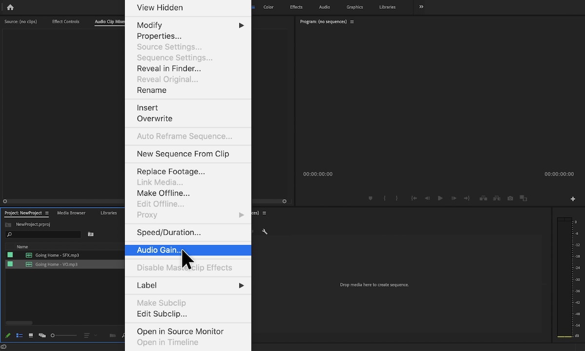 Adobe Premiere Pro with panel open and audio gain selected