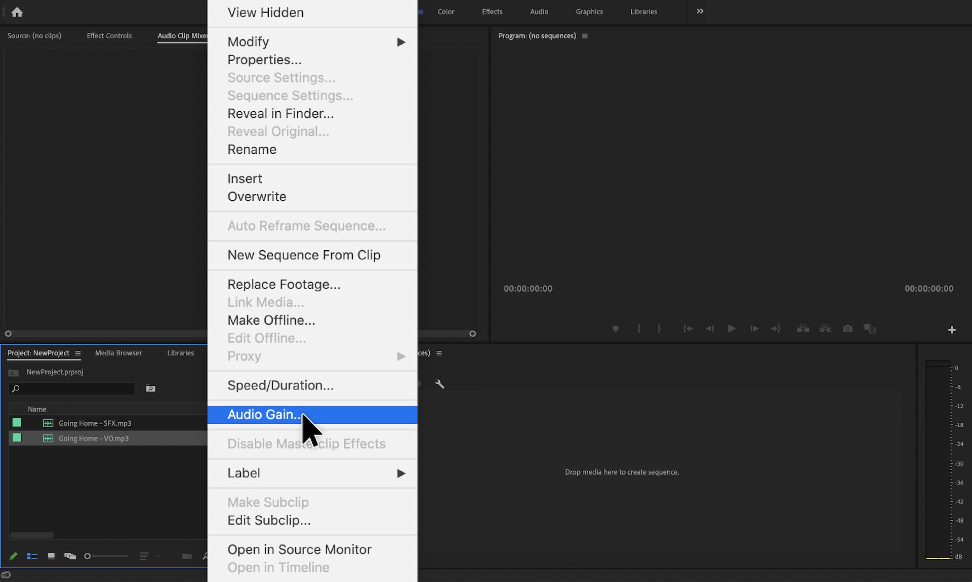 Adobe Premiere Pro with panel open and audio gain selected