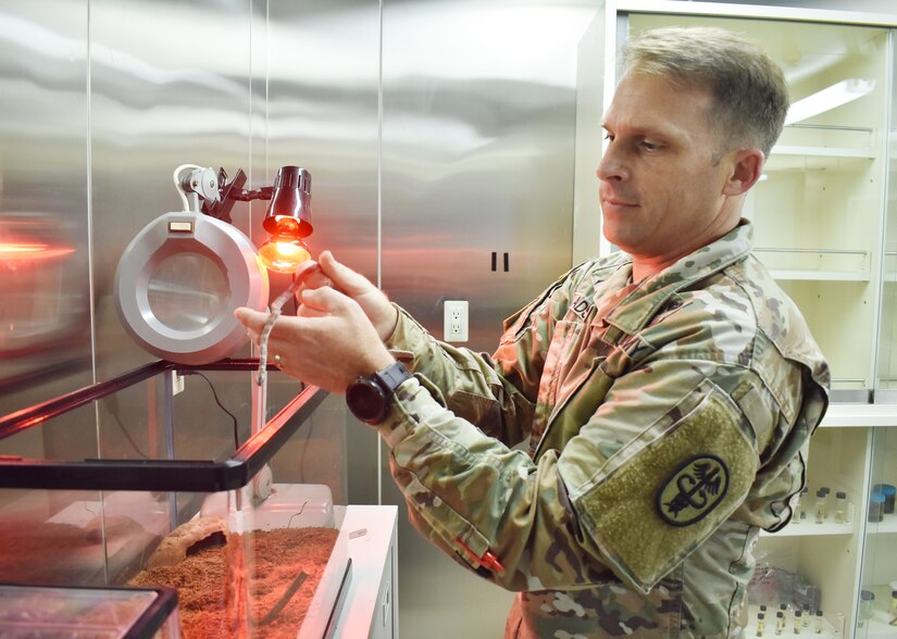 Capt. John Eads, chief medical entomologist for Public Health Command-Pacific, holds an Oriental odd tooth snake under rehabilitation at the command’s headquarters at Camp Zama, Japan, July 10, 2020.