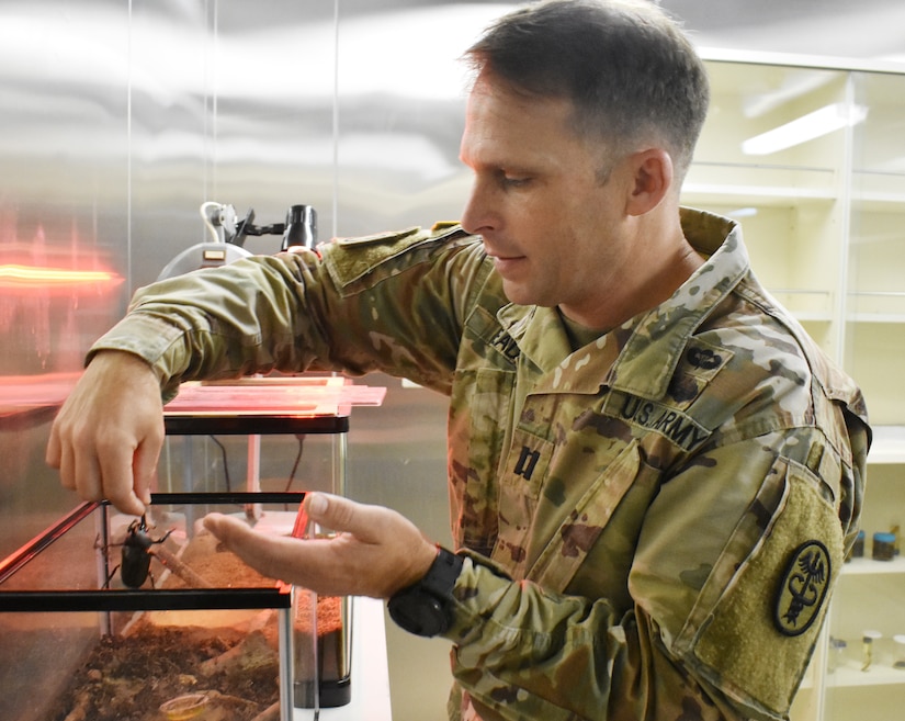 Capt. John Eads, chief medical entomologist for Public Health Command-Pacific, holds a Japanese rhinoceros beetle named Petri at the command’s headquarters at Camp Zama, Japan, July 10, 2020.