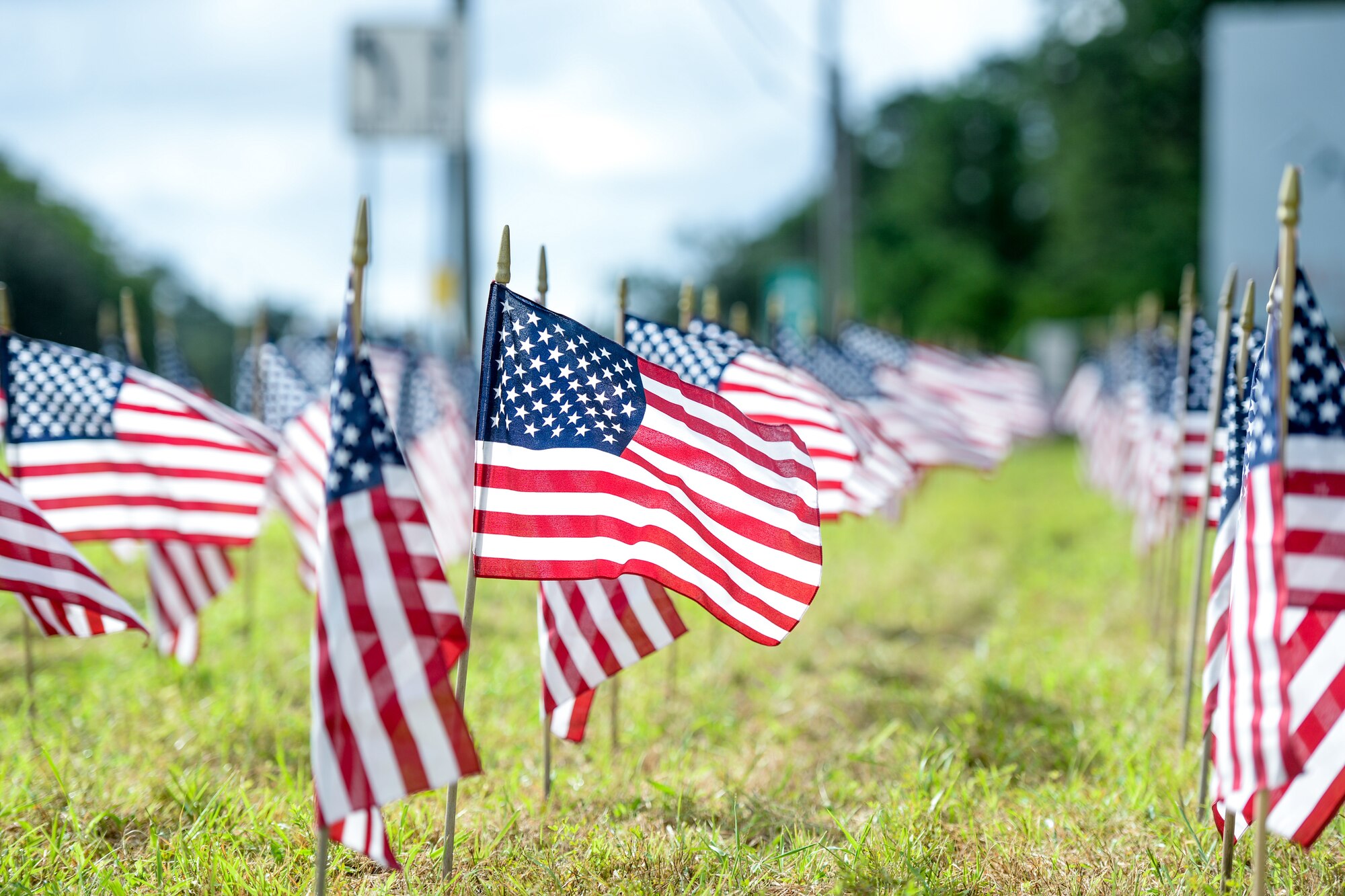 A photo of American flags standing in the ground.