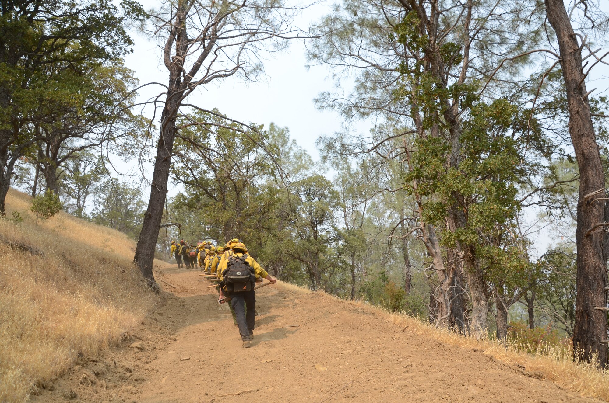 Joint Task Force Rattlesnake team members climb the steep slope of Rumsey Canyon to aid California Department of Forestry and Fire Protection (CAL FIRE) efforts to contain the LNU Lightning Complex fire near Rumsey, California, Aug 30, 2020. The task force is comprised of Soldiers and Airmen from the California National and State Guards and are trained by CAL FIRE as type II hand crews.