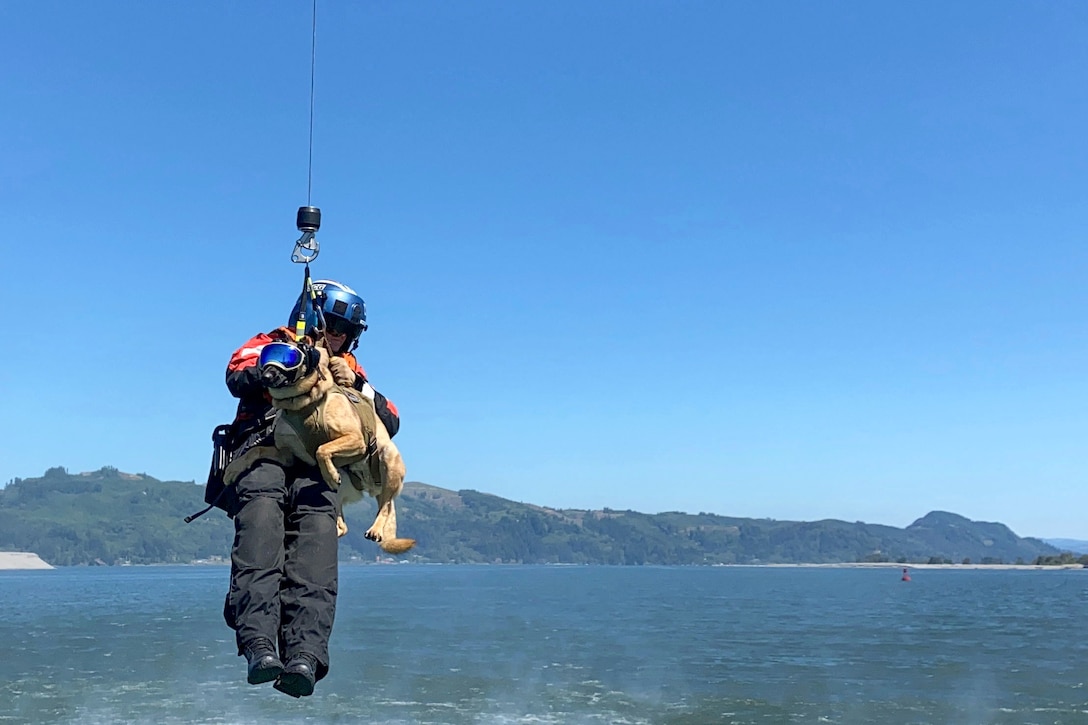 A Coast Guardsman and a working dog hang from a line over water.