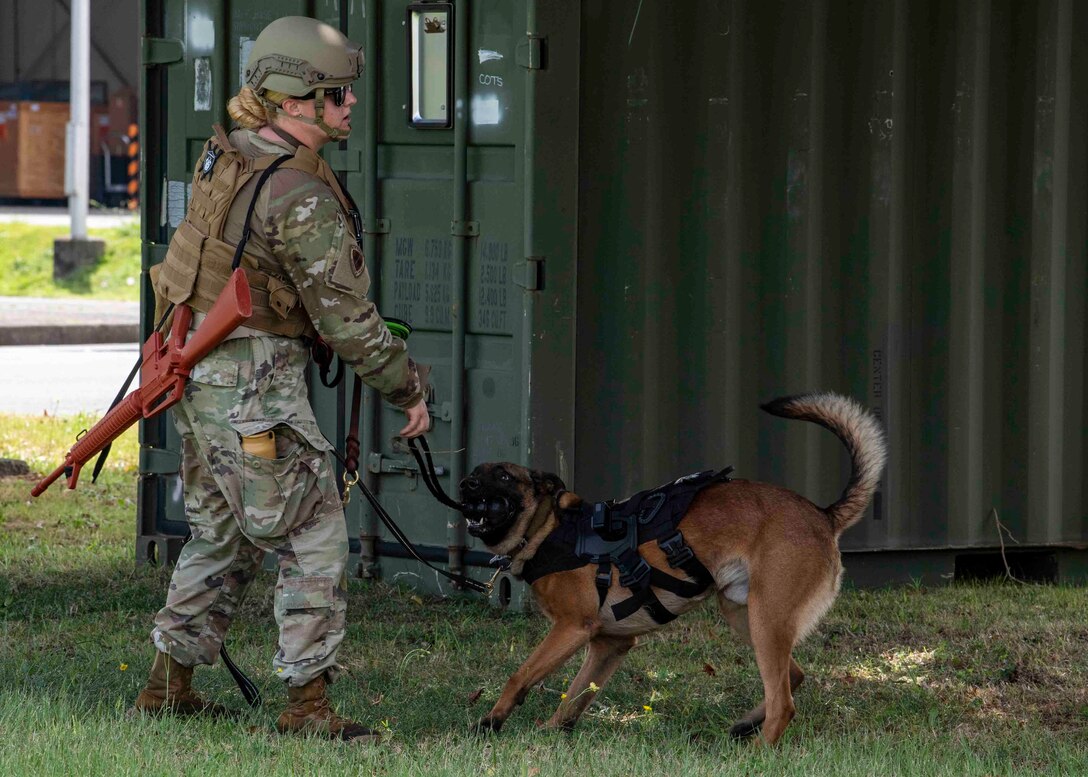 K-9s sniff out explosives on Sagami