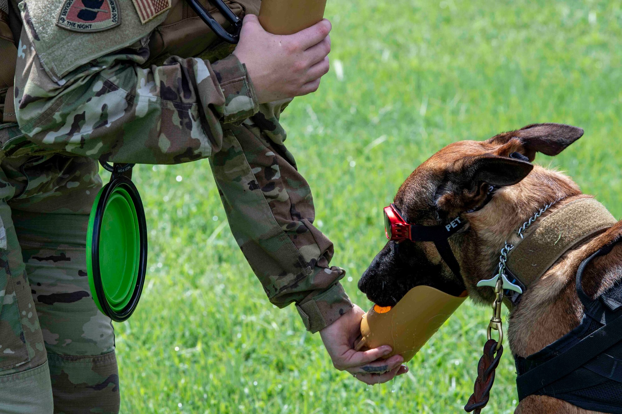 K-9s sniff out explosives on Sagami