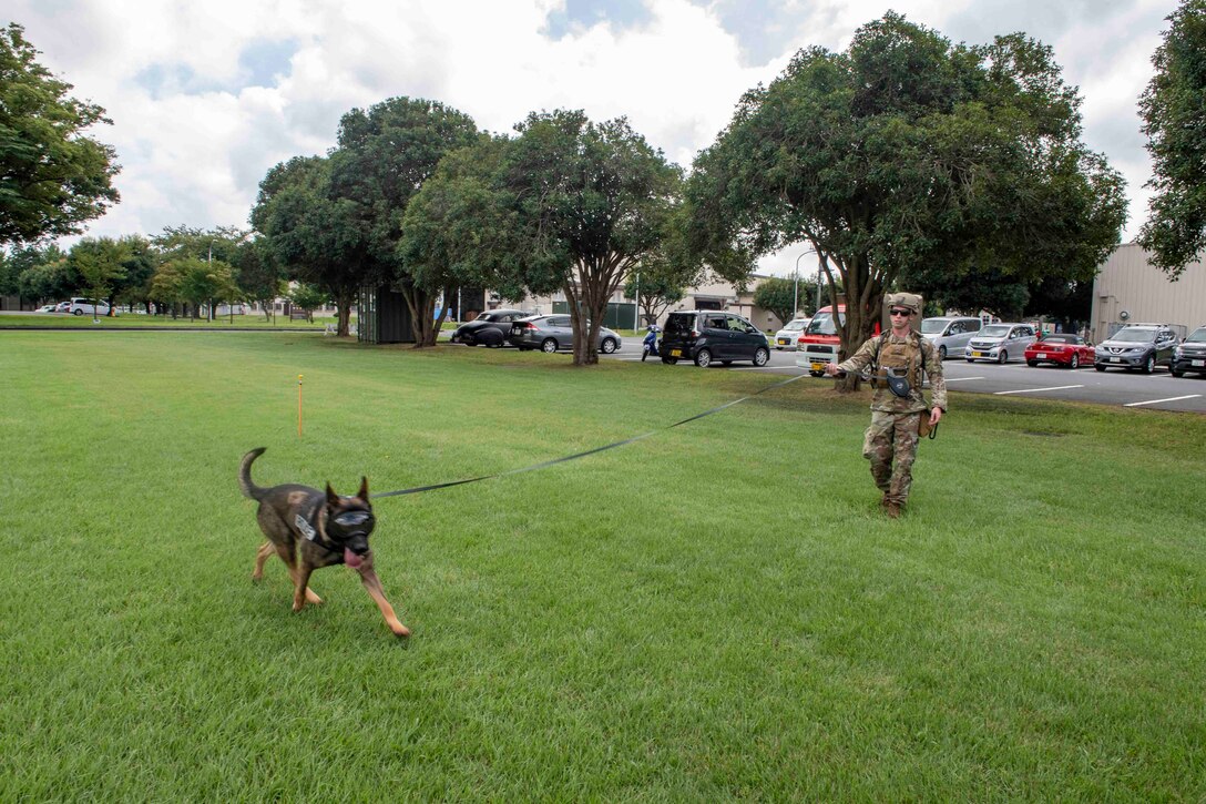 K-9s sniff out explosives on Sagami