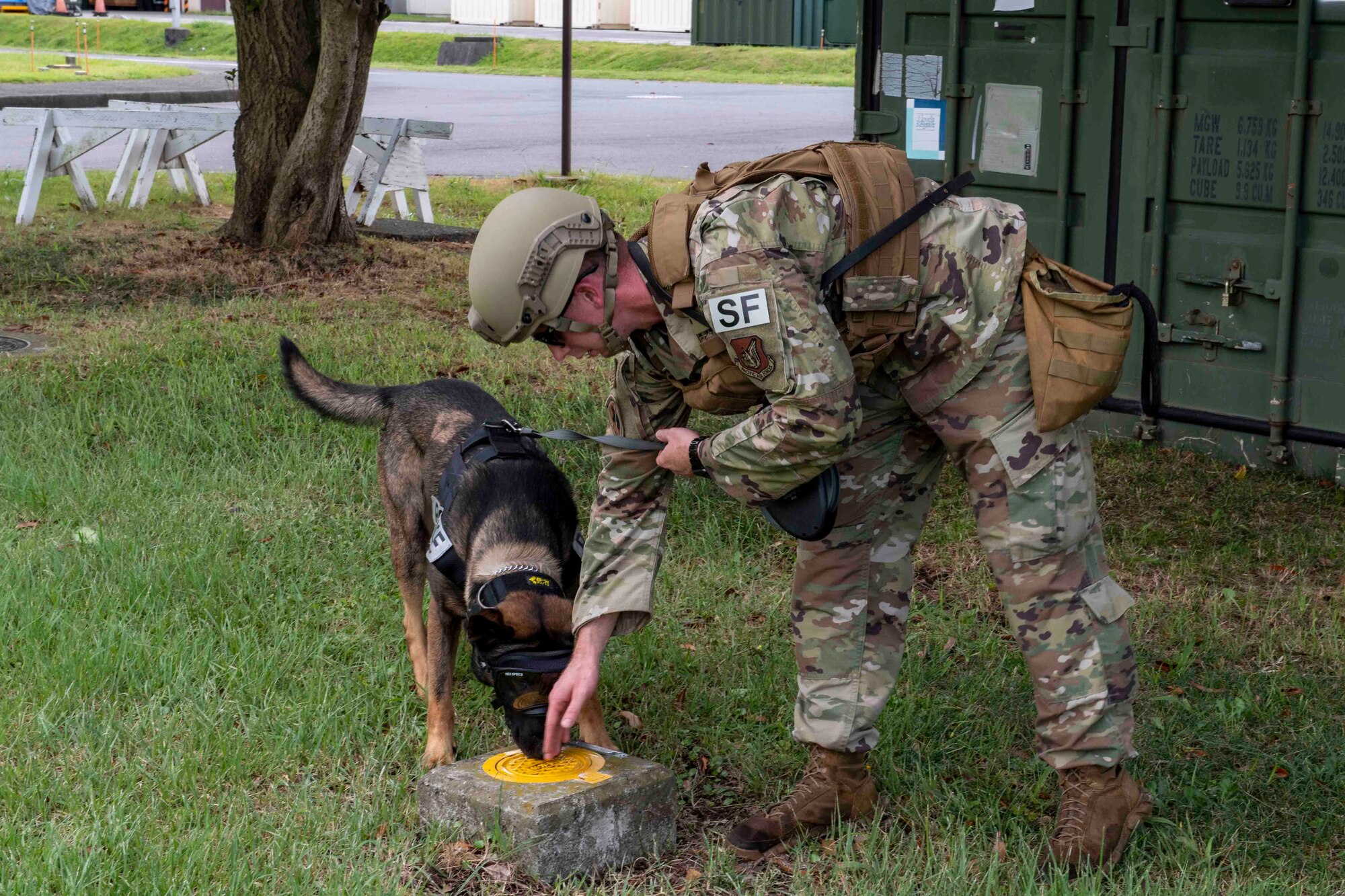 K-9s sniff out explosives on Sagami