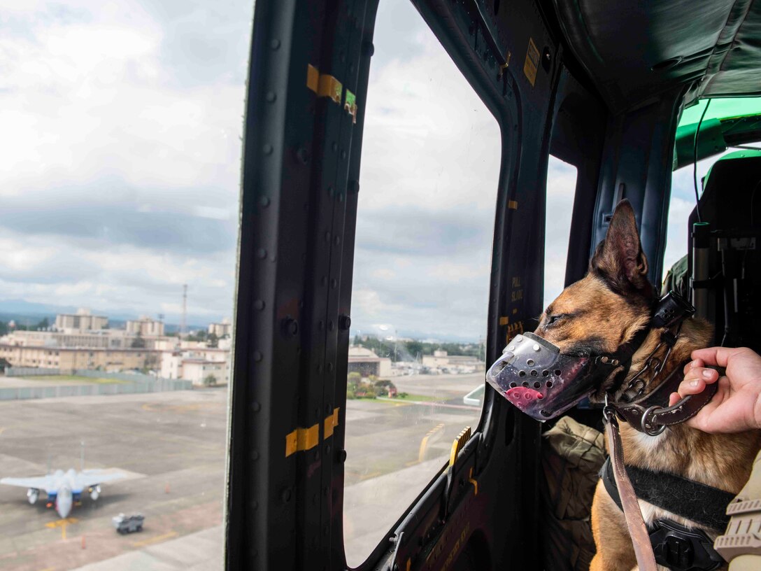 K-9s sniff out explosives on Sagami