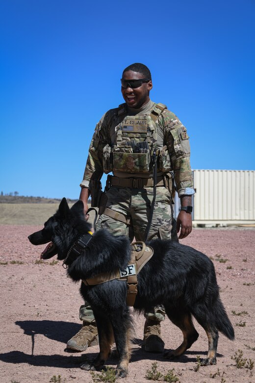 Defender and working dog