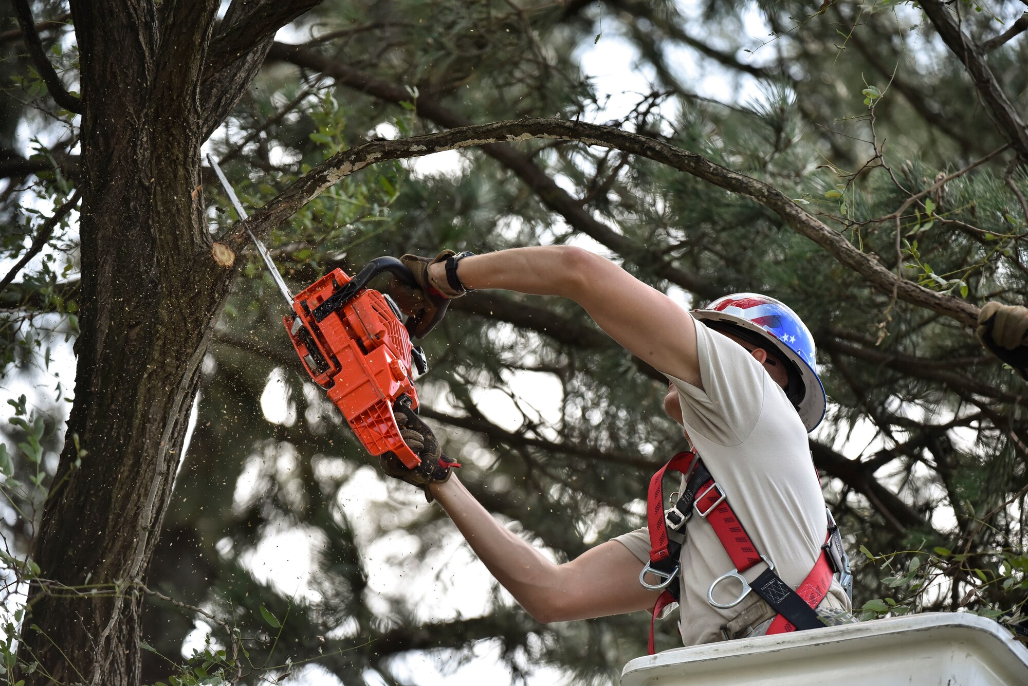 Staff Sgt. Bobby Breland, 8th Civil Engineer Squadron heavy equipment and pavement craftsman, removes a branch from a tree during typhoon recovery operations at Kunsan Air Base, Republic of Korea, Sept. 3, 2020.