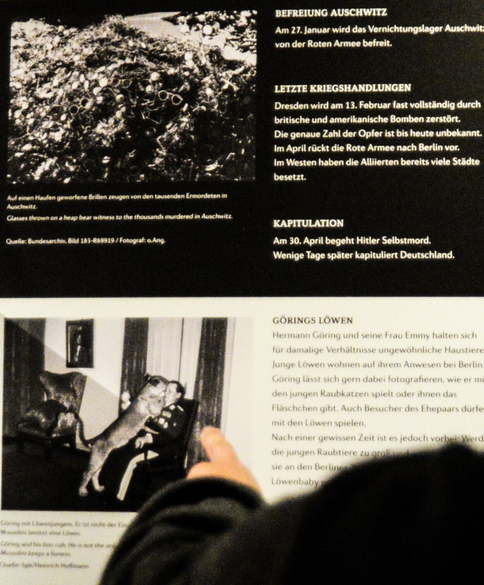 U.S. Air Force Staff Sgt. Lisa Kiesewetter, 86th Security Forces Squadron military working dog trainer, points to a military working dog’s story inside the “Animals in War and Peace” exhibit at former U.S. Army Ordnance Depot Maßweiler, Germany, Sept. 4, 2020. To honor animals’ service during various wars, an animal welfare organization opened an exhibit called “Animals in War and Peace,” in the former U.S. Army Ordnance Depot Maßweiler. The bunker, in which the exhibit was built, previously housed U.S. military ammunition and then returned it to German control in the 1990s. The animal welfare organization purchased the property in 2000, then transformed it into the exhibit. (U.S. Air Force photo by Tech. Sgt. J. Smith)