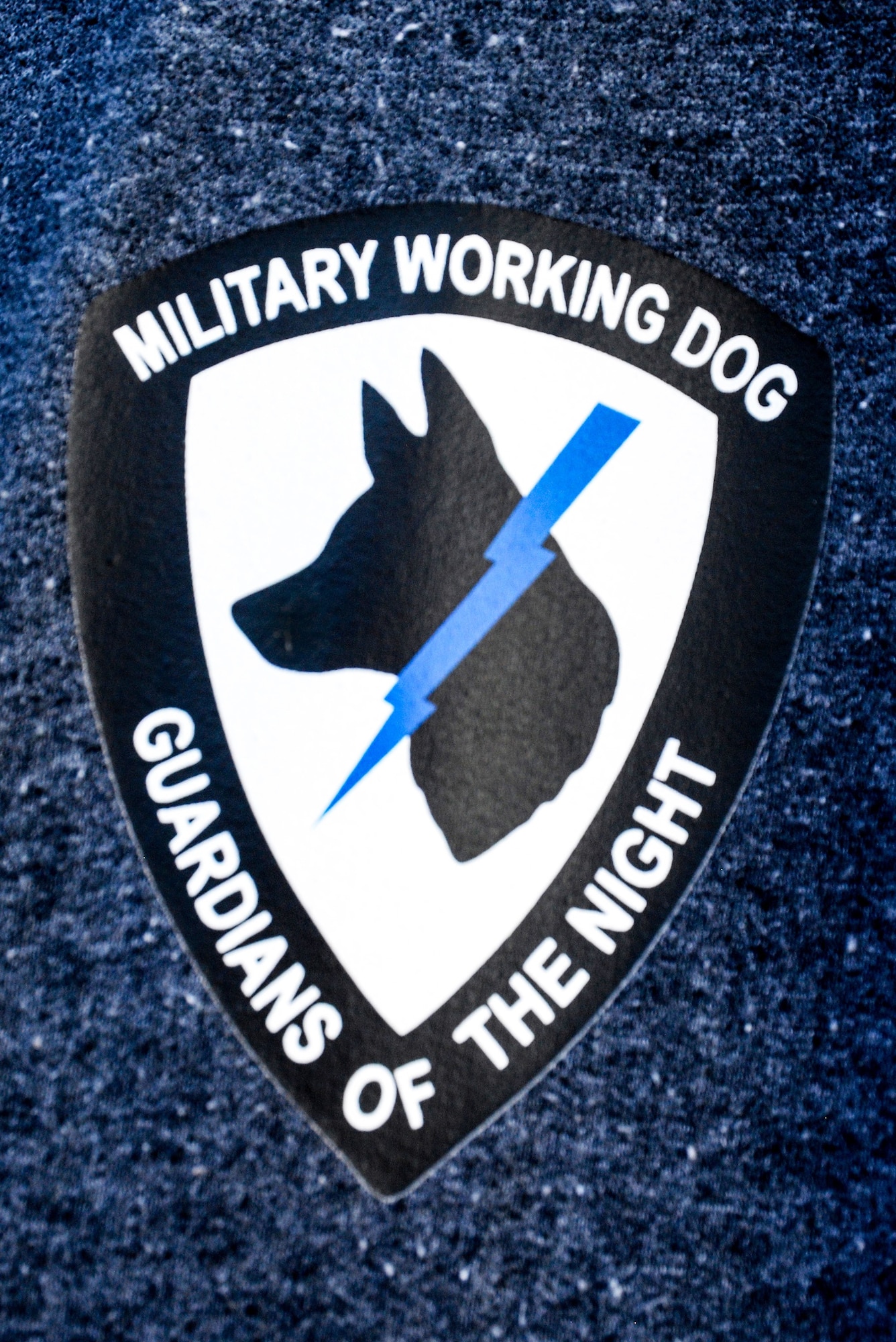 U.S. Air Force Staff Sgt. Lisa Kiesewetter, 86th Security Forces Squadron military working dog trainer, wears an emblem on her shirt at former U.S. Army Ordnance Depot Maßweiler, Germany, Sept. 4, 2020. The emblem is representative of her career as an Airman and the connection to her working dog. (U.S. Air Force photo by Tech. Sgt. J. Smith)