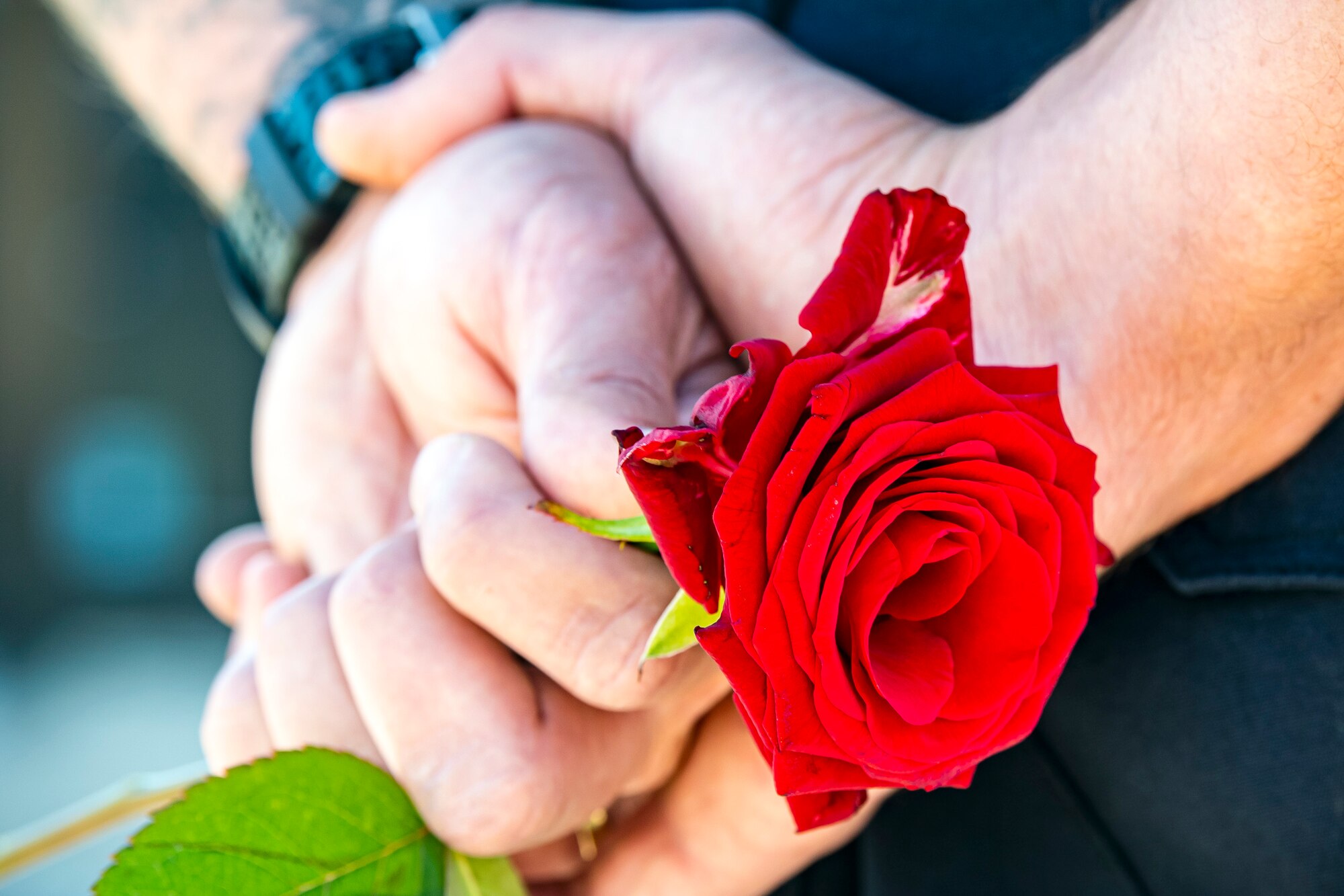 A firefighter from the 423rd Civil Engineer Squadron holds a rose during a 9/11 remembrance ceremony at RAF Alconbury, England, Sep. 9, 2020. Airmen from the 501st CSW along with cadets from the Alconbury High School JROTC participated in the ceremony to honor those who lost their lives during the September 11th terrorist attacks. (U.S. Air Force photo by Senior Airman Eugene Oliver)