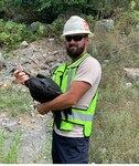 Chad Neil, a wildlife biologist for the Agriculture Department's APHIS Wildlife Services-West Virginia and part of the 167th AW’s Bird/Wildlife Aircraft Strike Hazard (BASH) team, holds a black vulture that has been fitted with a transmitting device in Martinsburg, W.Va., Aug. 18, 2020.