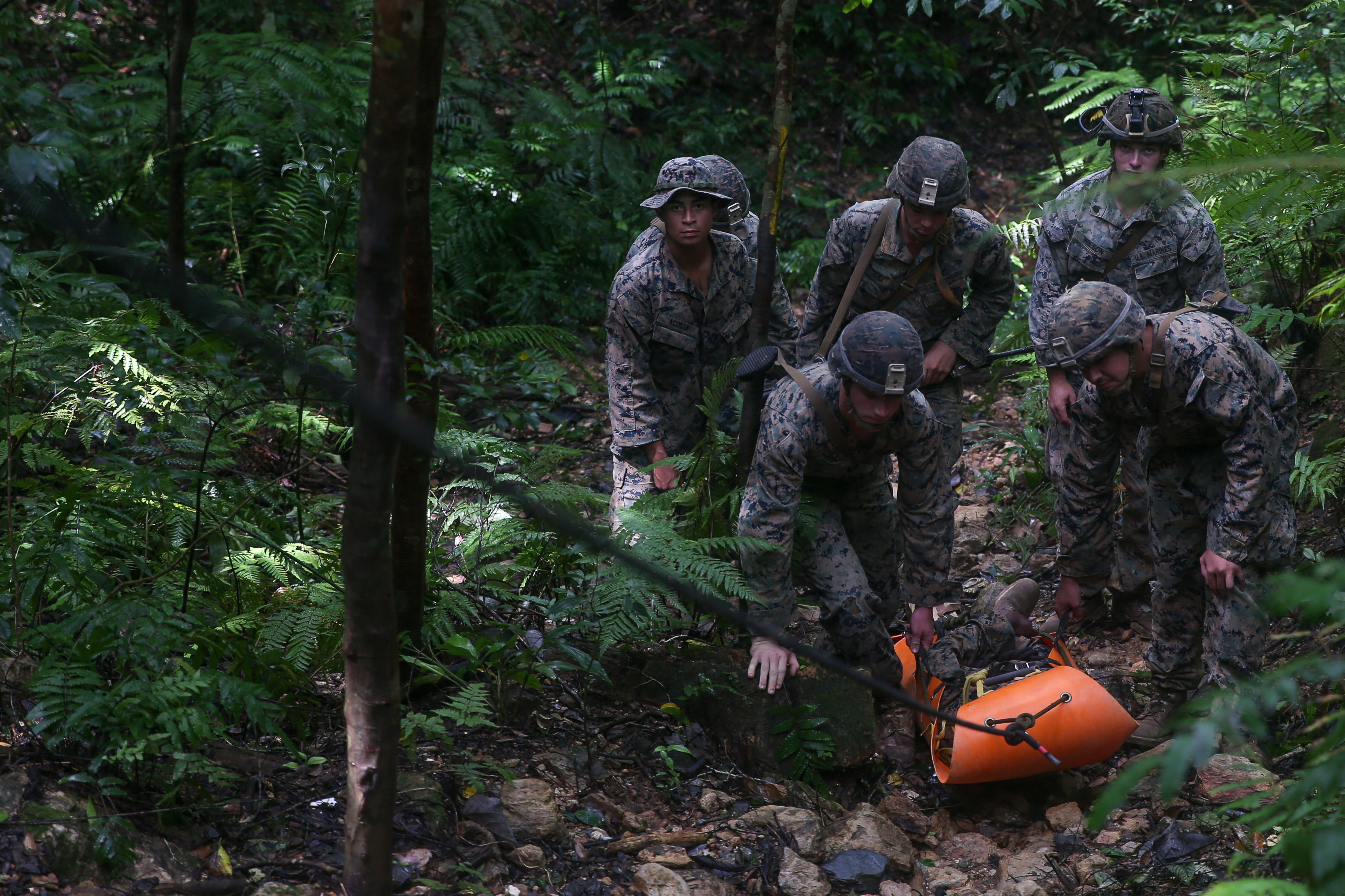 U.S. Marines with 1st Battalion, 3rd Marine Regiment, 3rd Marine Division, undergo the Infantry Jungle Skills Course at the Jungle Warfare Training Center on Camp Gonsalves, Okinawa, Japan.