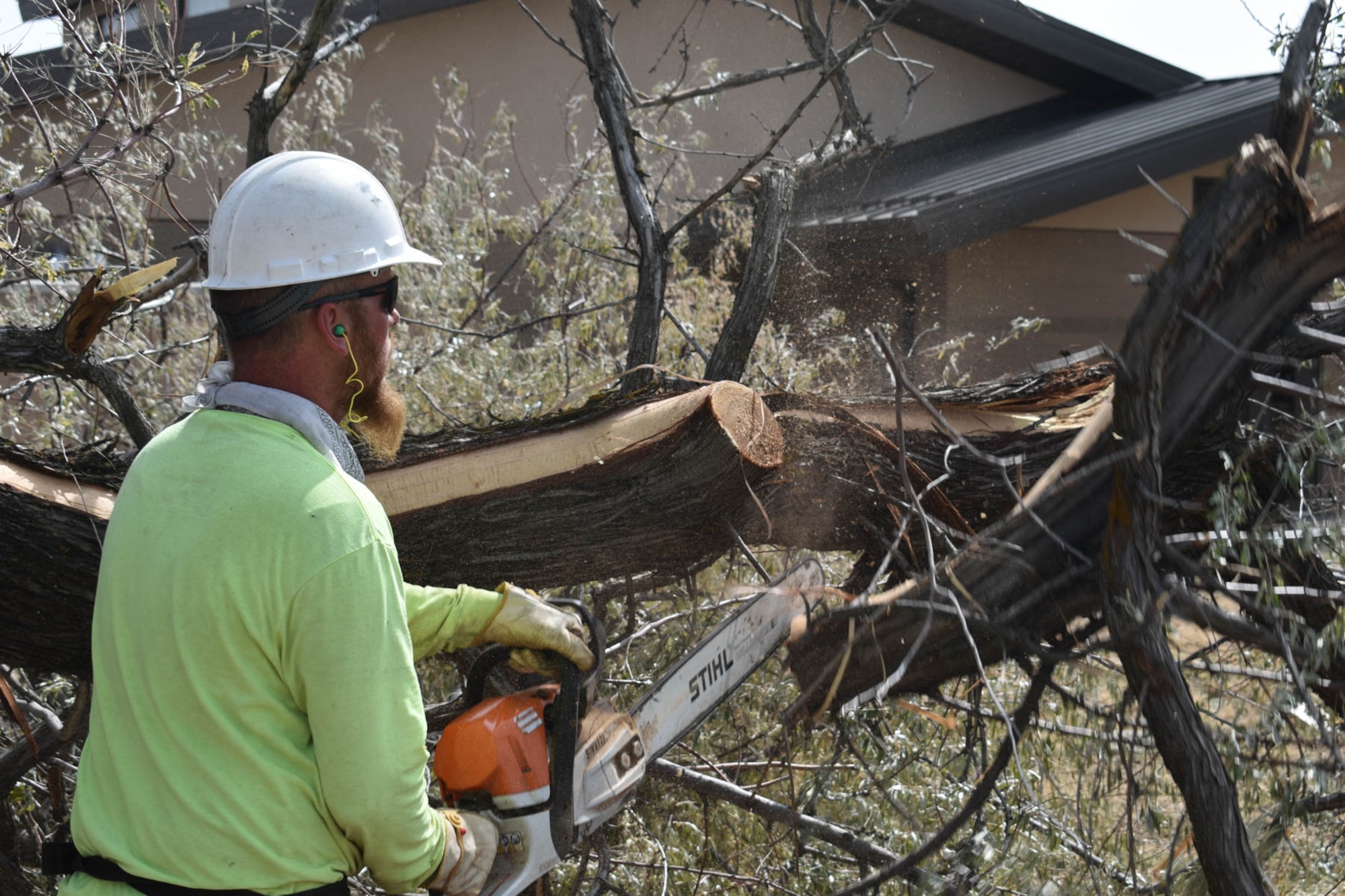Randy Rohwer, a base grounds maintenance contractor, cuts a tree on the installation’s east side.