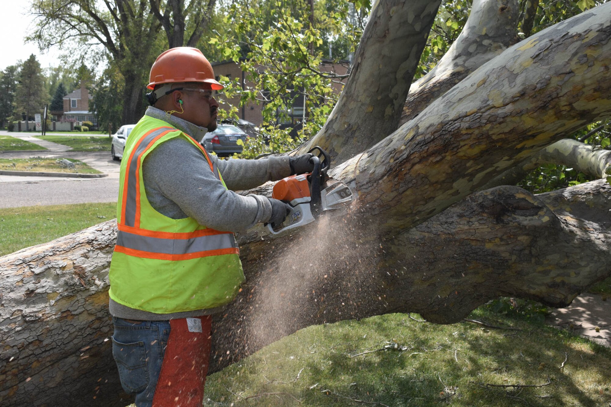Ricardo Castillo, a base grounds maintenance contractor, cuts a tree behind the fire station on the installation’s west side.