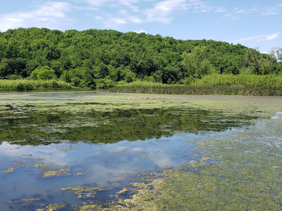 Eau Galle Recreation Area