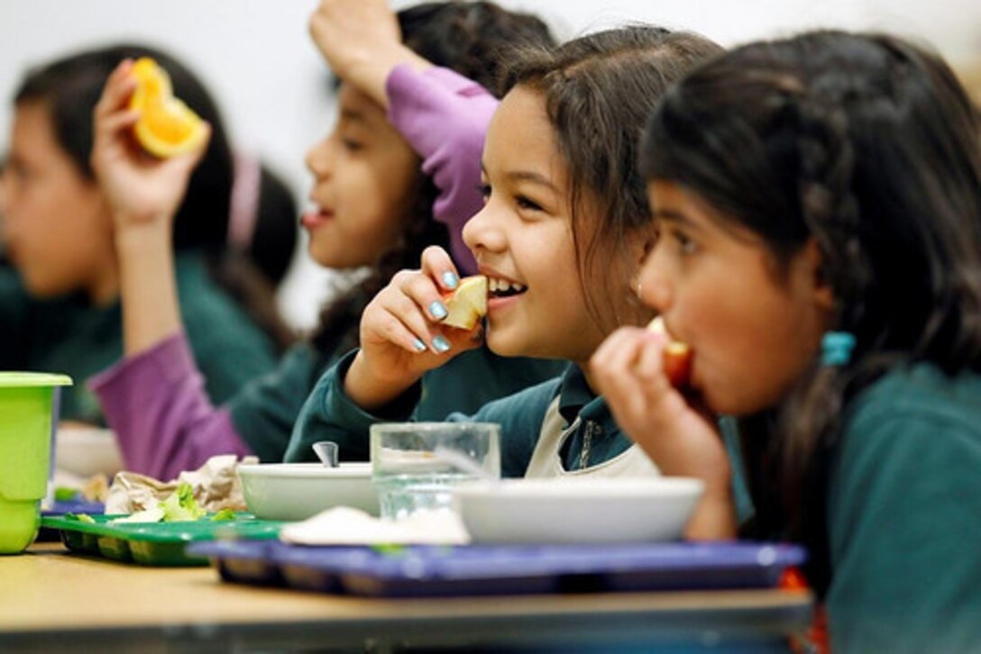 Children having a meal at school