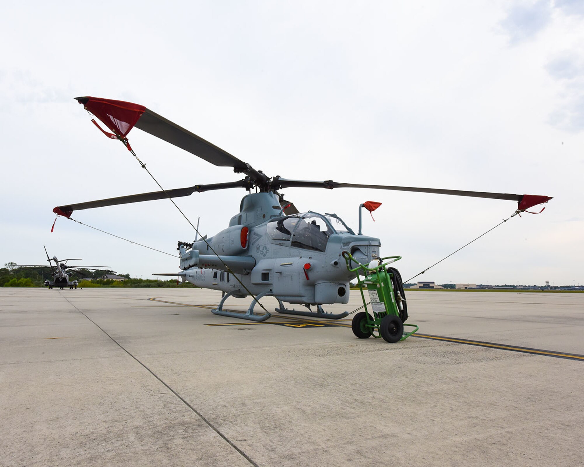 Vipers in the Garden State > Joint Base McGuire-Dix