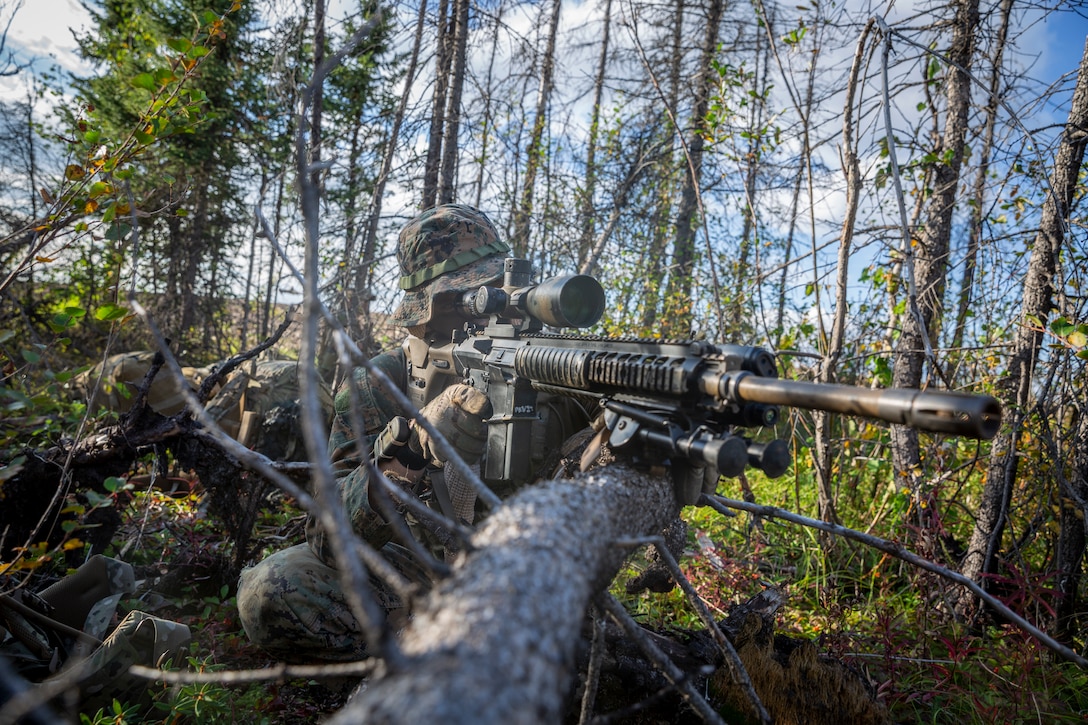 A U.S. Marine sights in with an M110 Semi-Automatic Sniper System during a free-fall insert at Eielson Air Force Base, Alaska, Aug. 21.