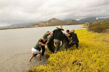 Volunteers push a tire out of the water during a Weed Warriors event aboard Marine Corps Base Hawaii, July 25, 2020. Weed Warriors is a bi-monthly event held by the MCBH environmental staff to remove invasive plant species and debris from the Nu‘upia Ponds wetlands wildlife management area. (U.S. Marine Corps Photo by Lance Cpl. Shane Linder)