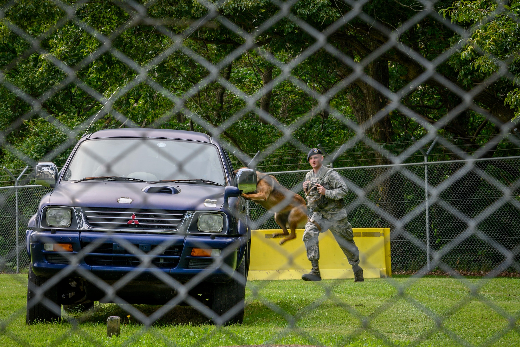 U.S. Air Force Staff Sgt. Anthony Reschka, a 35th Security Forces Squadron military working dog handler and Bella, a MWD, demonstrate a high risk vehicle extraction during a demonstration at Misawa Air Base, Japan, Sept. 17, 2020. Working dog handlers with the 35th Security Forces Squadron's K-9 unit display the skills of their dogs during a demonstration for Chief Master Sgt. Rick Winegardner Jr, the U.S. Forces Japan command chief. Military working dogs train in phases of controlled aggression, which consist of field interviews, pursuit and attacks, search and escorts, search and re-attacks, and stand-offs. (U.S. Air Force photo by Airman 1st Class China M. Shock)