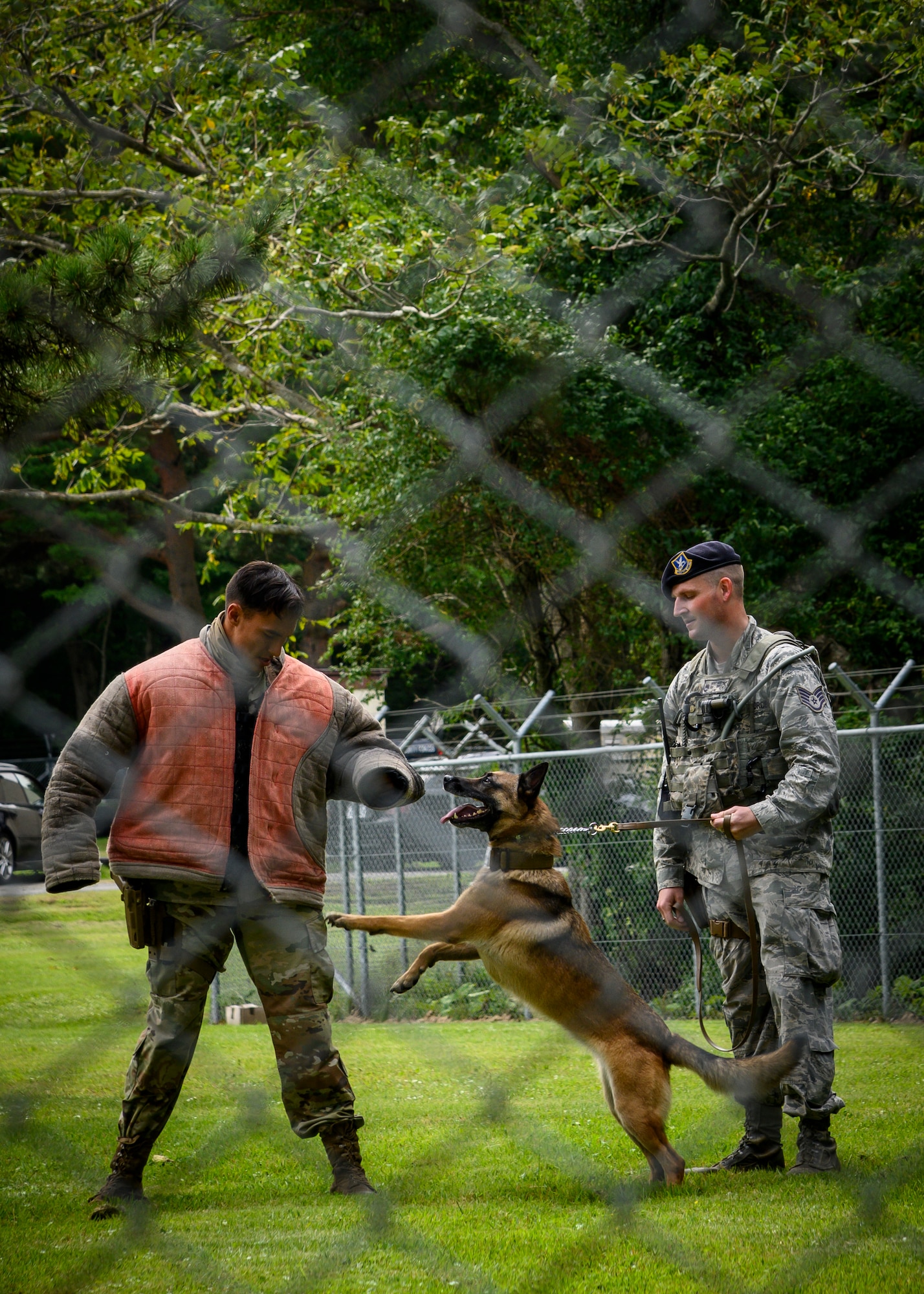 U.S. Air Force Staff Sgt. Amanda Puryear, a 35th Security Forces Squadron military working dog handler, instructs Chief Master Sgt. Rick Winegardner Jr., the U.S. Forces Japan command chief, before a demonstration at Misawa Air Base, Japan, Sept. 17, 2020. Working dog handlers with the 35th Security Forces Squadron's K-9 unit display the skills of their dogs during a demonstration for Chief Master Sgt. Rick Winegardner Jr, the U.S. Forces Japan command chief. The dogs train on how to detect explosives and narcotics as well as perform controlled aggression tactics when detaining suspects. (U.S. Air Force photo by Airman 1st Class China M. Shock)