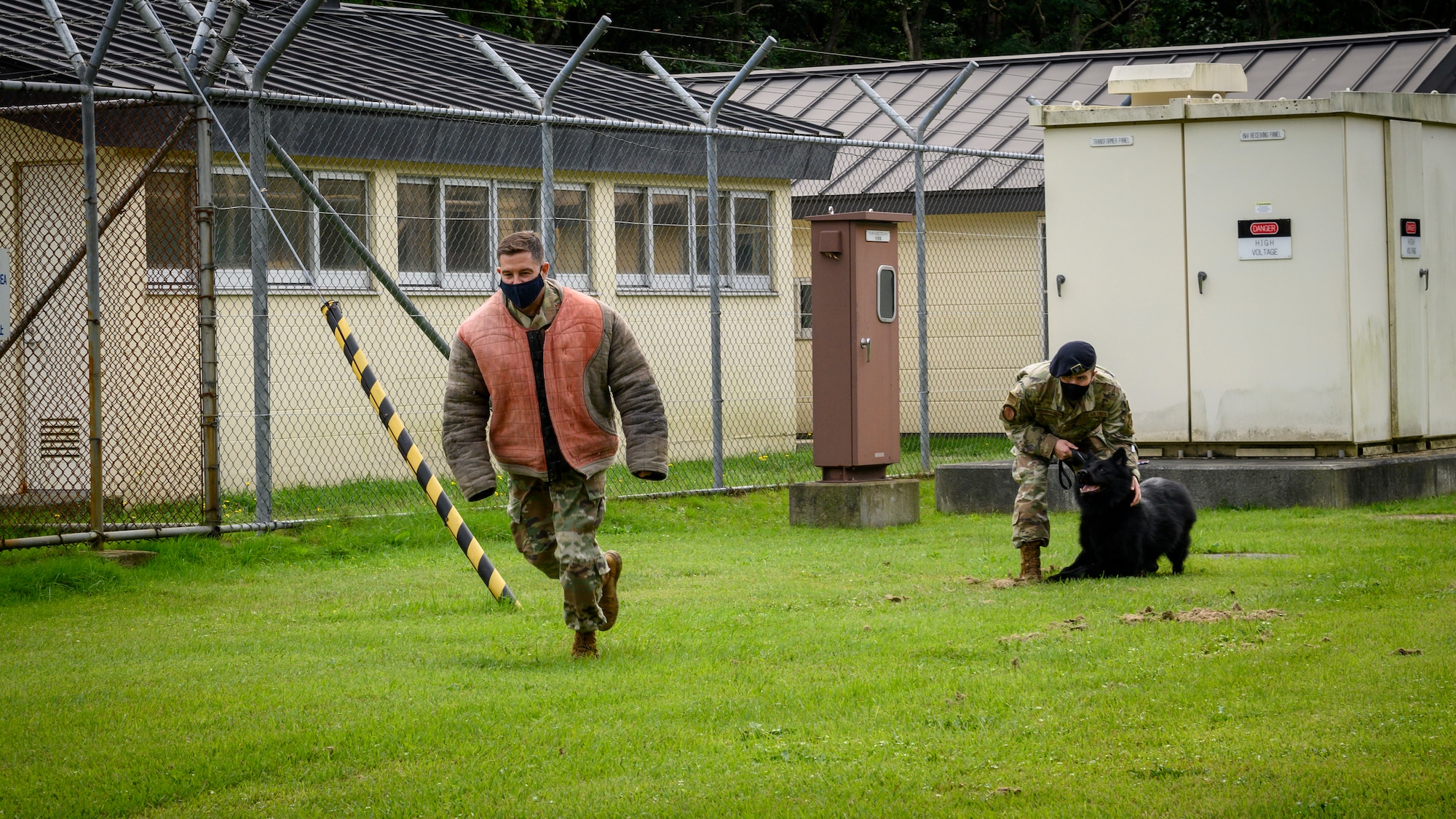 U.S. Air Force Chief Master Sgt. Rick Winegardner Jr., the U.S. Forces Japan command chief, runs from military working dog, Cento, during a demonstration at Misawa Air Base, Japan, Sept. 17, 2020. Working dog handlers with the 35th Security Forces Squadron's K-9 unit display the skills of their dogs during a demonstration for Chief Master Sgt. Rick Winegardner Jr, the U.S. Forces Japan command chief. Military working dogs train in phases of controlled aggression, which consist of field interviews, pursuit and attacks, search and escorts, search and re-attacks, and stand-offs. (U.S. Air Force photo by Airman 1st Class China M. Shock)