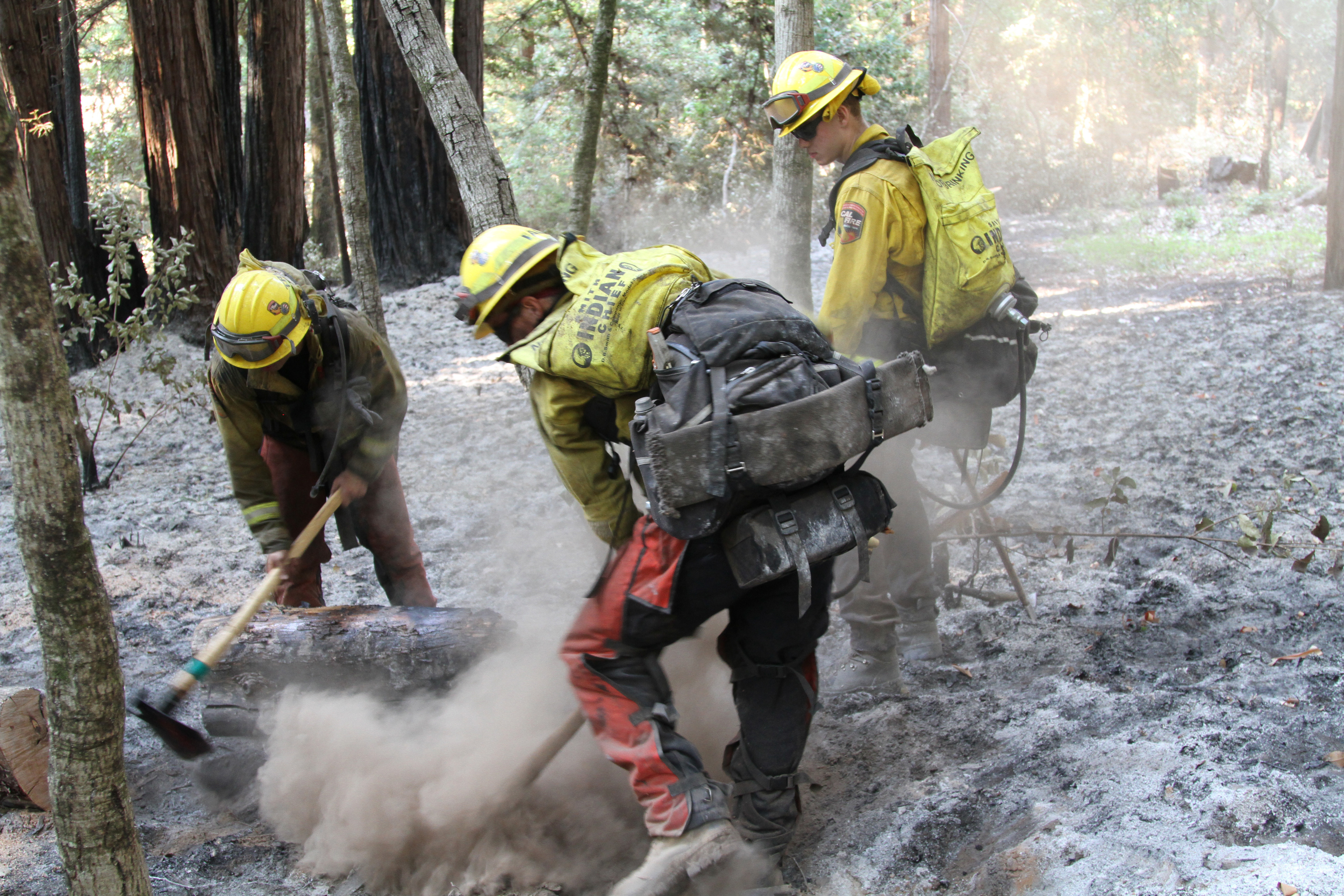 Georgia wildland deals fire boots