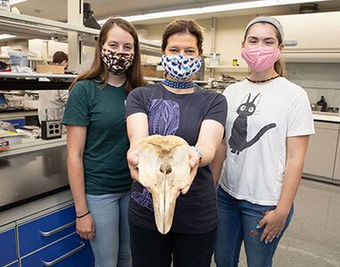 NUWC Division Newport oceanographers, biologists, engineers collaborate on mammal research